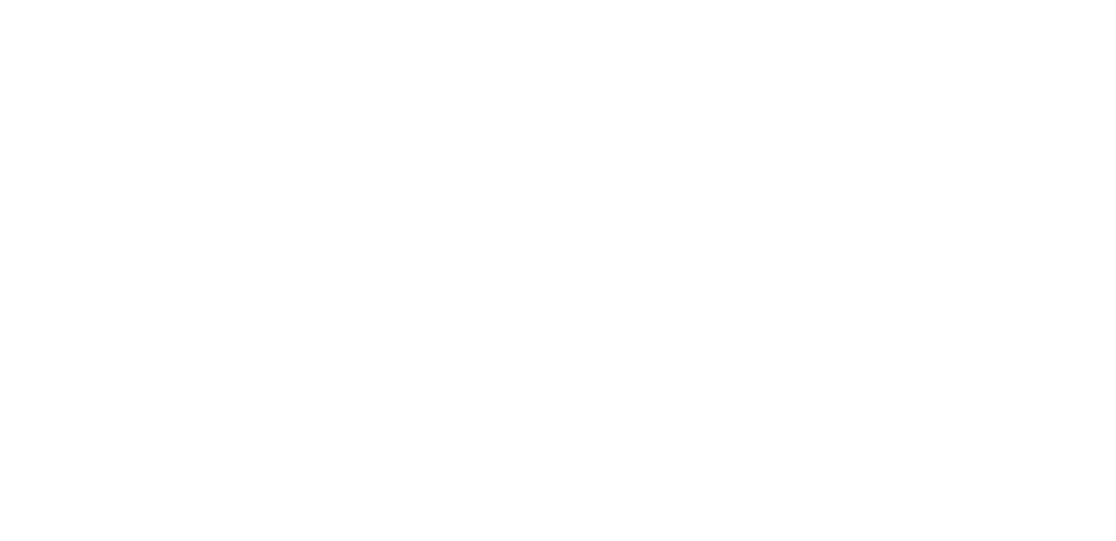 Langer - Netter - Adler